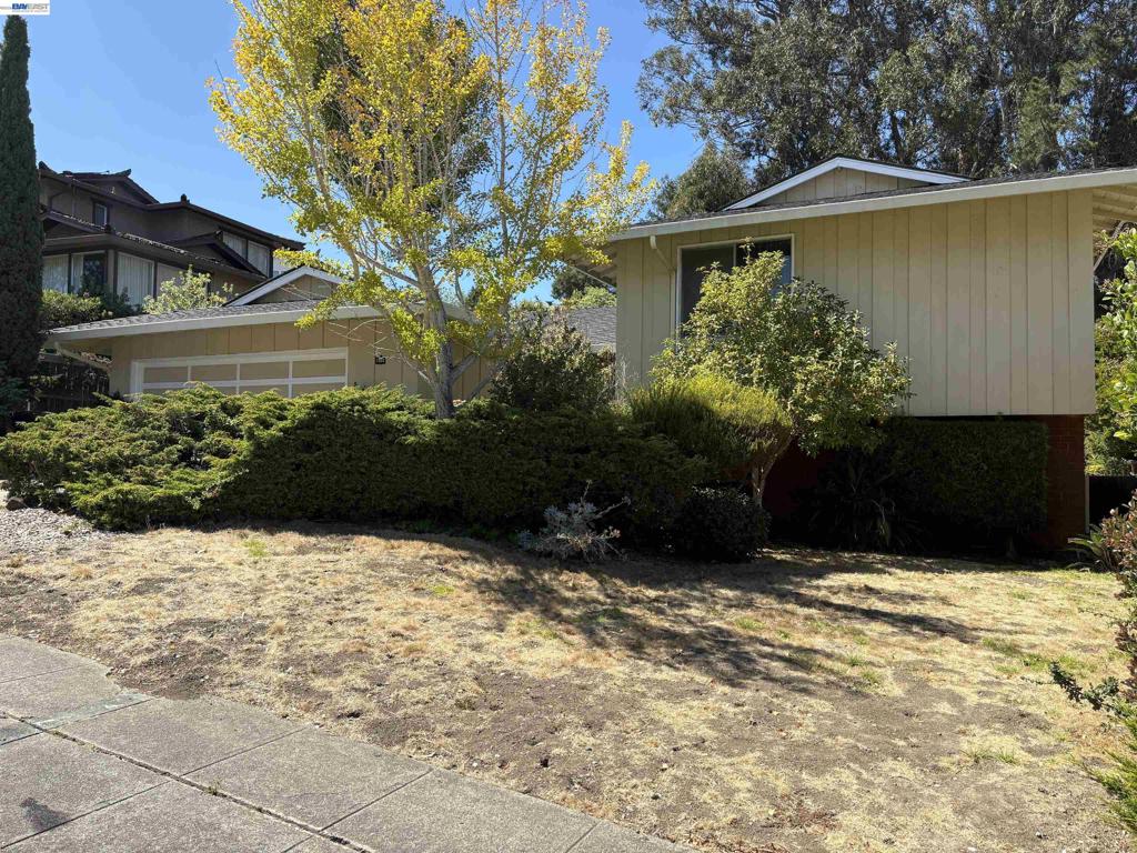 1350 Murchison Dr Property Photo 3