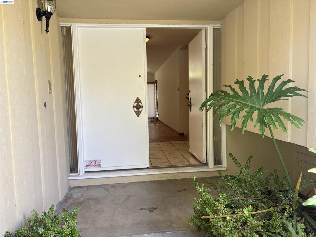 1350 Murchison Dr Property Photo 4