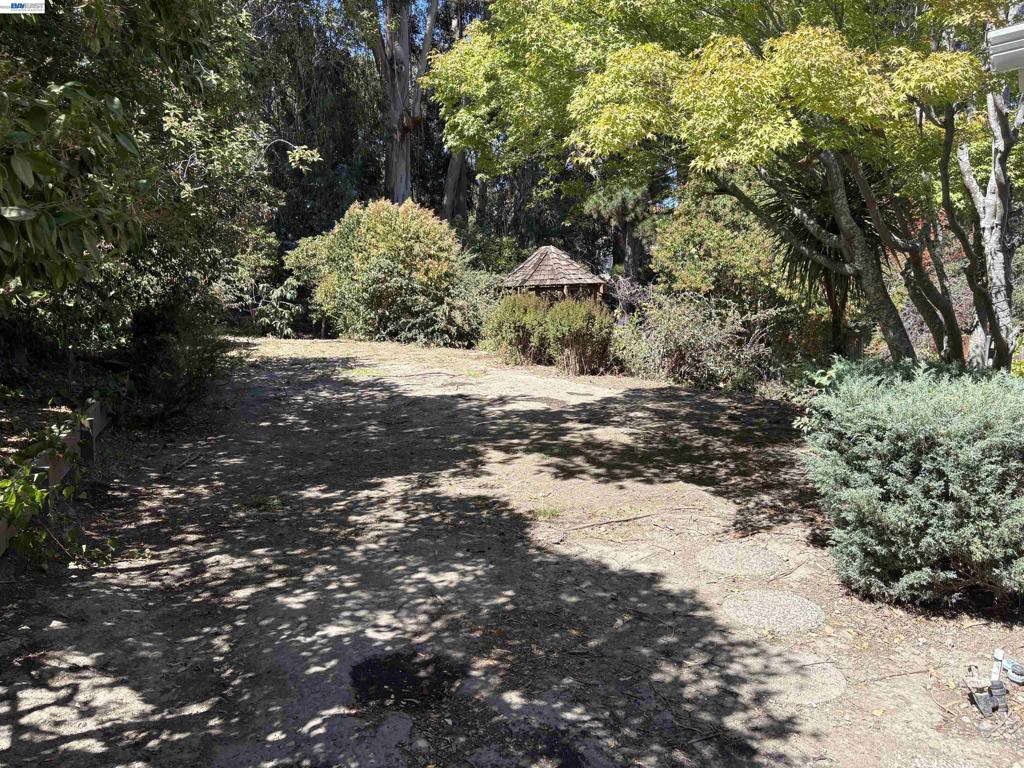 1350 Murchison Dr Property Photo 7