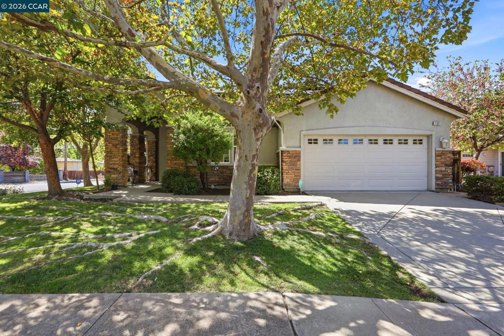 1101 Sunny Cove St Property Photo 1