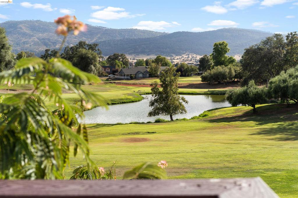 569 Spyglass Cir Property Photo 3
