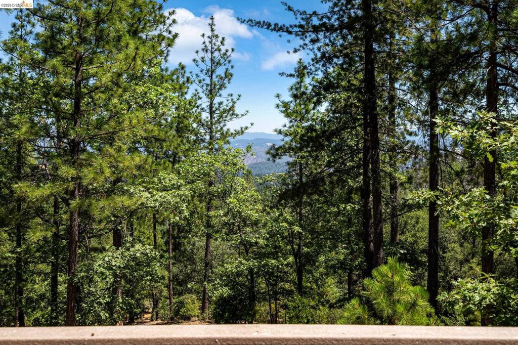 11335 Bridal Veil Property Photo 28