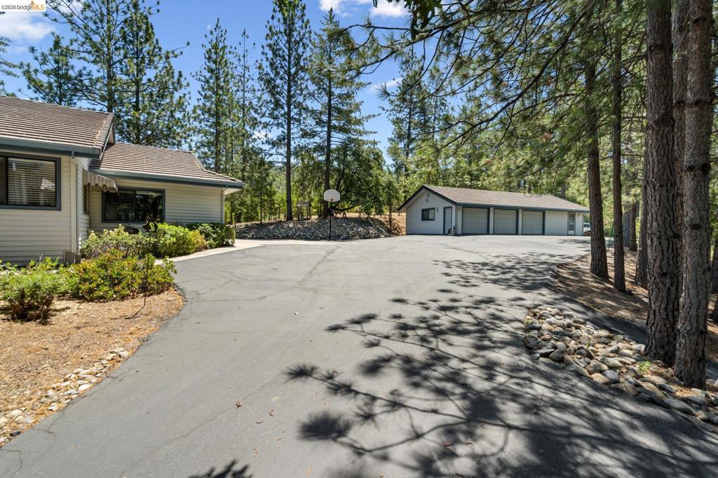 11335 Bridal Veil Property Photo 38