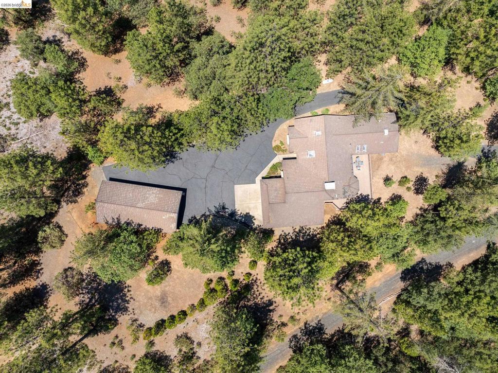 11335 Bridal Veil Property Photo 40