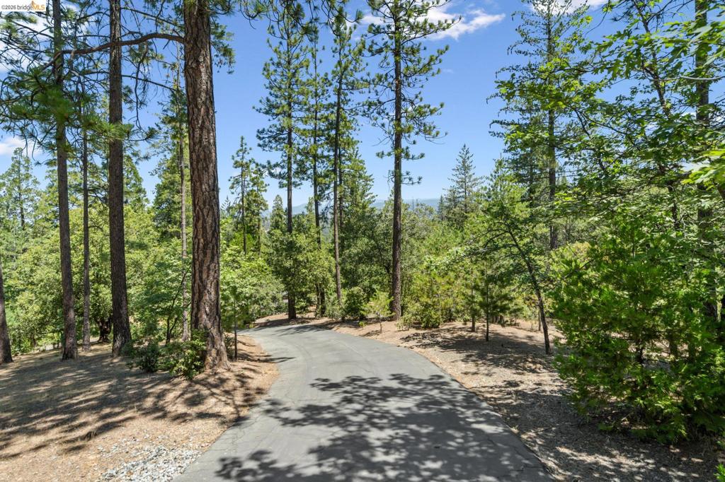 11335 Bridal Veil Property Photo 41