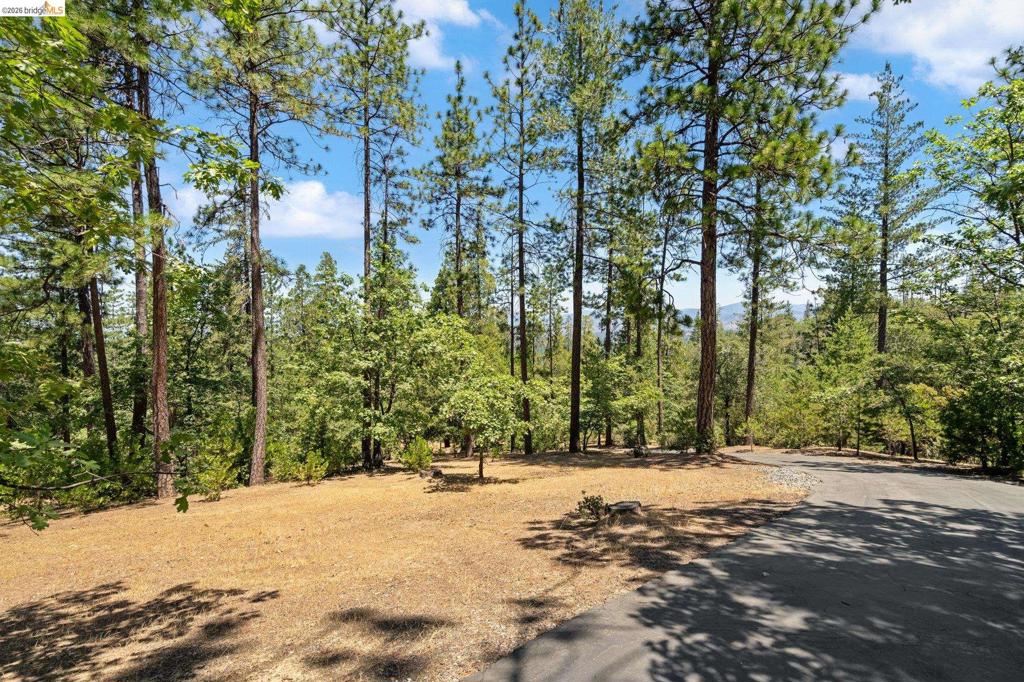 11335 Bridal Veil Property Photo 42