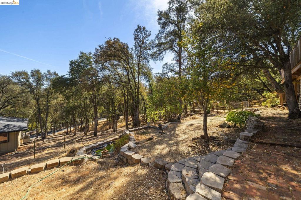 14201 Hillview Ct Property Photo 46