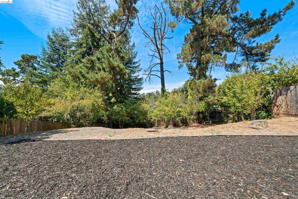 4833 Shetland Ave. Property Photo 30