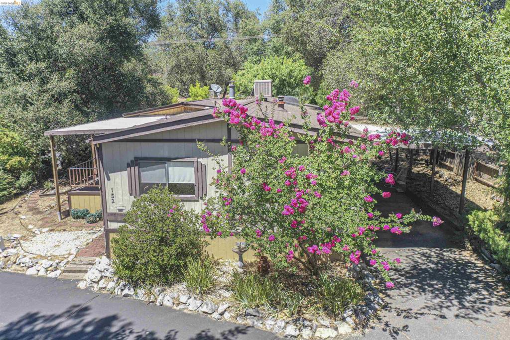 10956 Green Property Photo 2