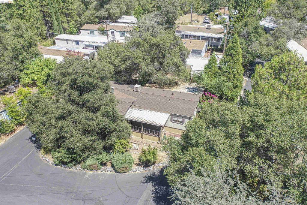 10956 Green Property Photo 39