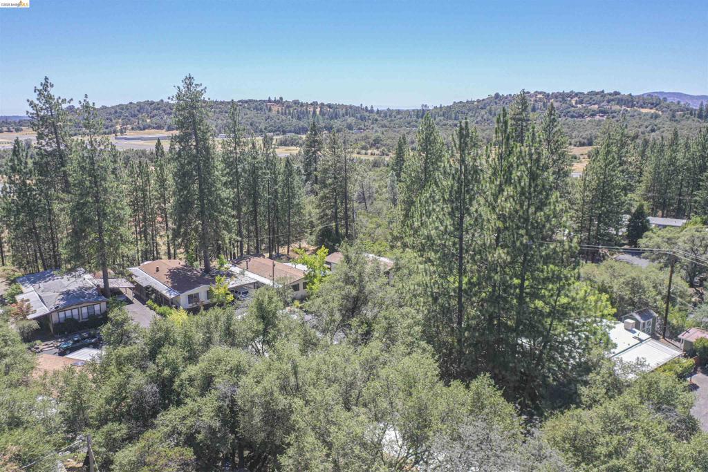 10956 Green Property Photo 43