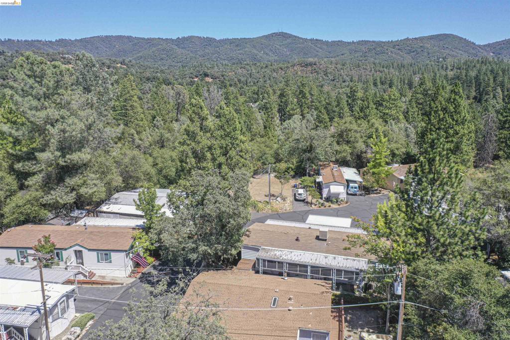 10956 Green Property Photo 44