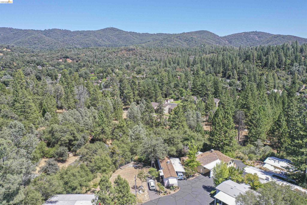 10956 Green Property Photo 45