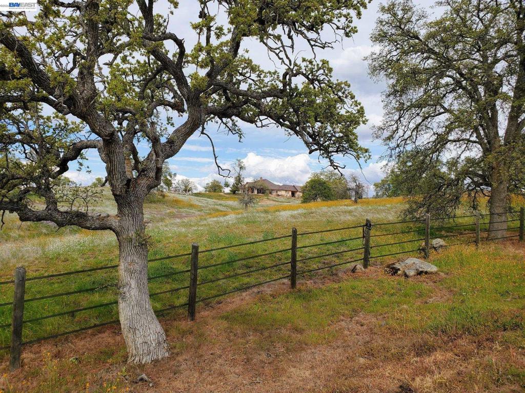 34310 Barn Owl Rd Property Photo 4