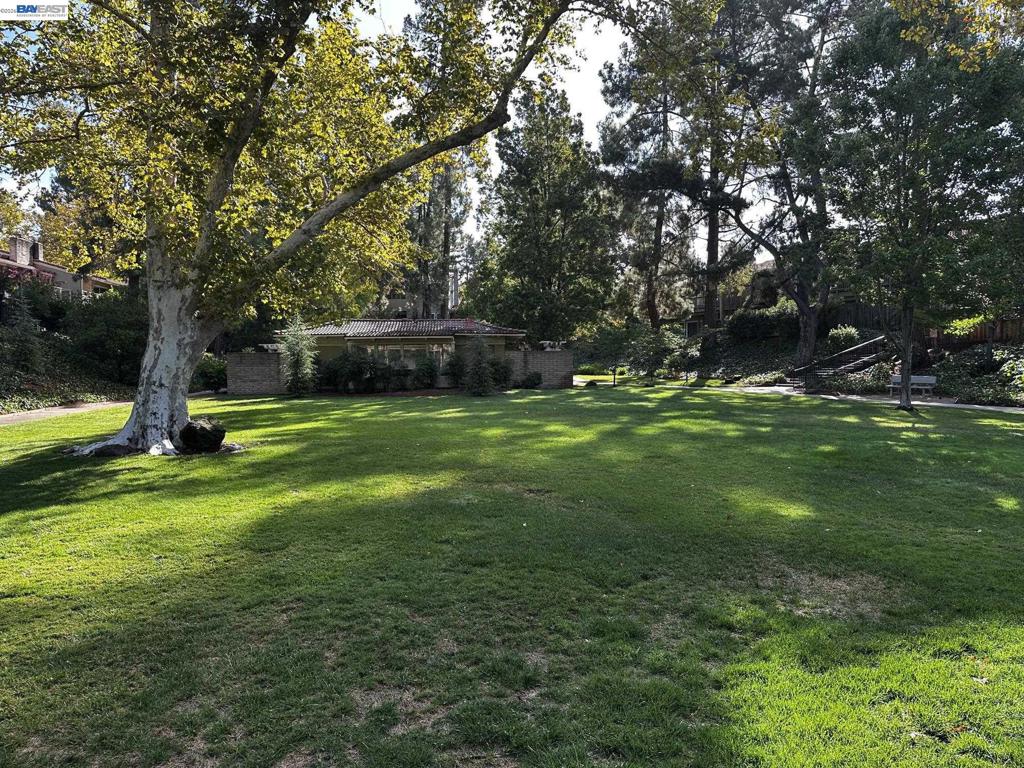 509 Tampico Property Photo 45