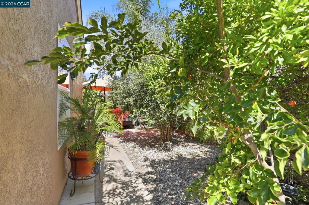 25 Sparrow Hawk Ct. Property Photo 33