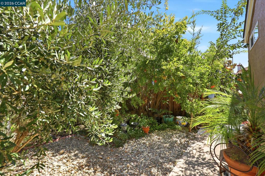 25 Sparrow Hawk Ct. Property Photo 34