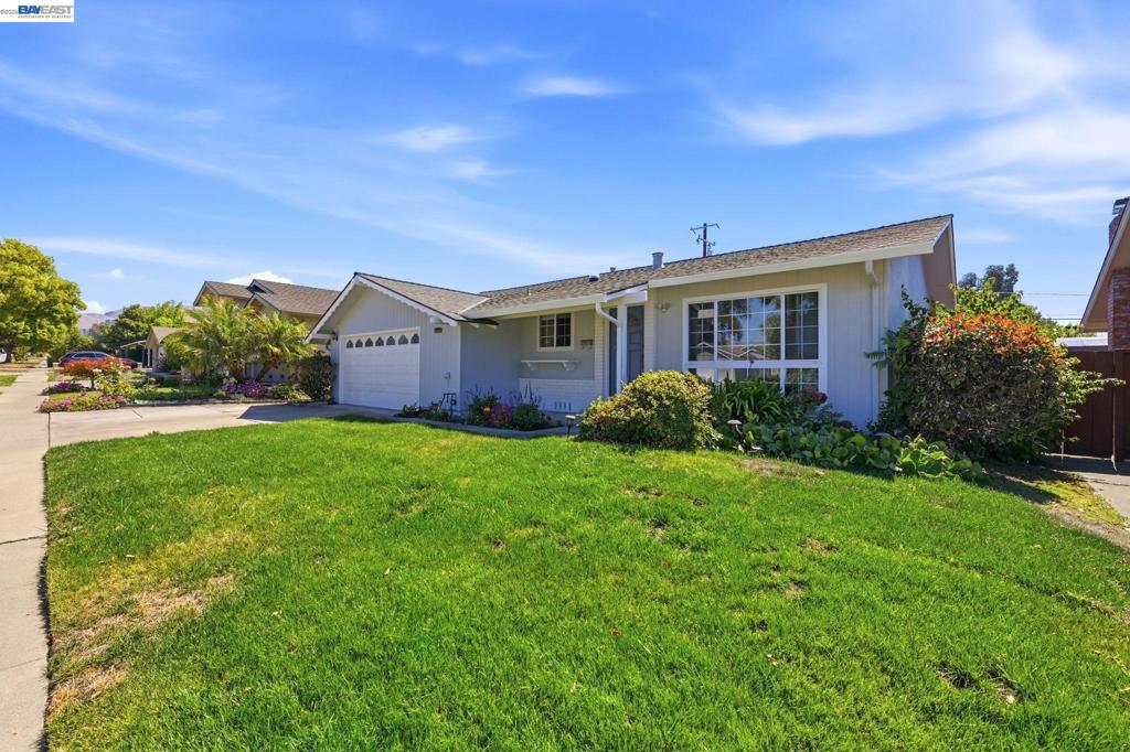 41441 Paseo Padre Pkwy Property Photo 4