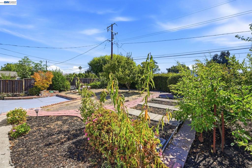 41441 Paseo Padre Pkwy Property Photo 42