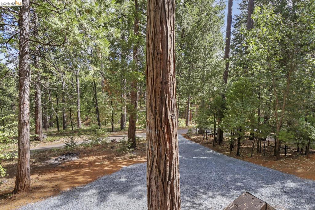 16680 Madrone Circle Property Photo 4