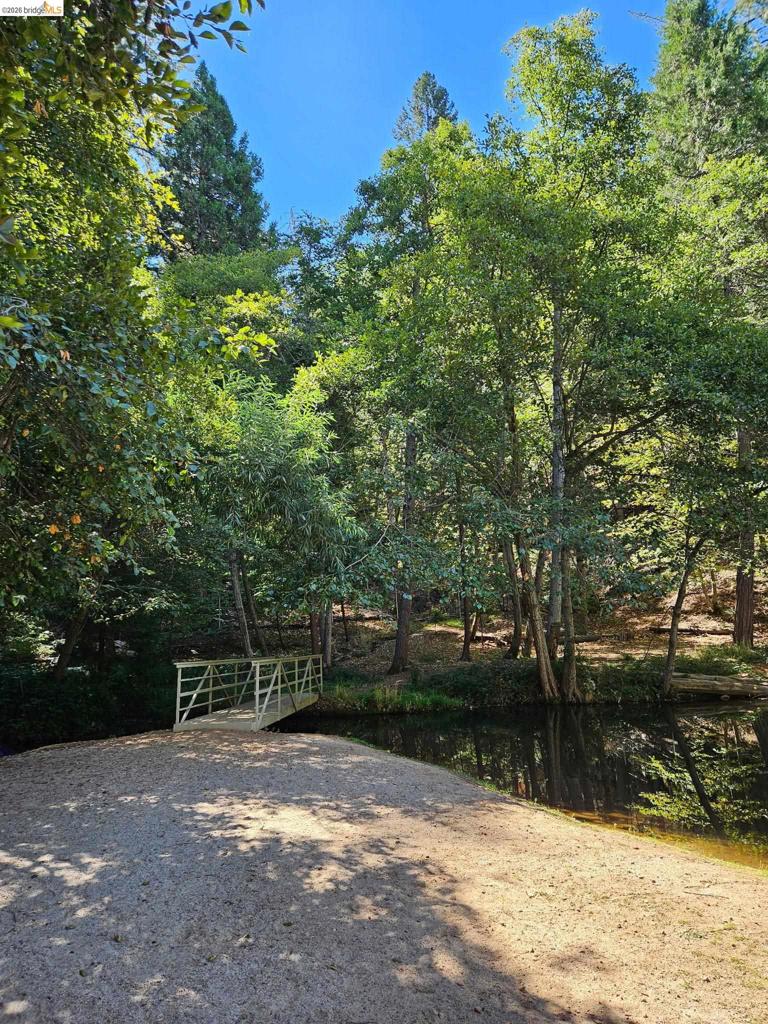 16680 Madrone Circle Property Photo 34