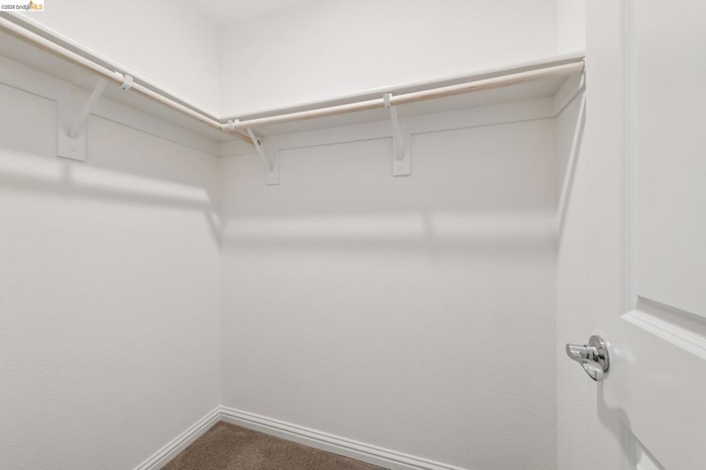 24157 Amaranth Loop Property Photo 14