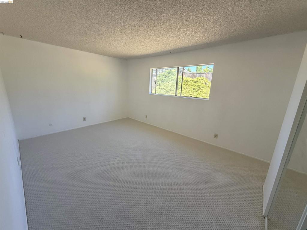 119 Clear Creek Ct Property Photo 27