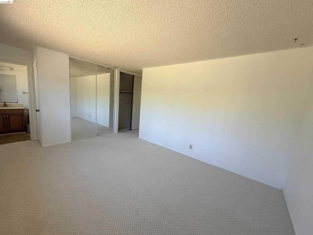 119 Clear Creek Ct Property Photo 28