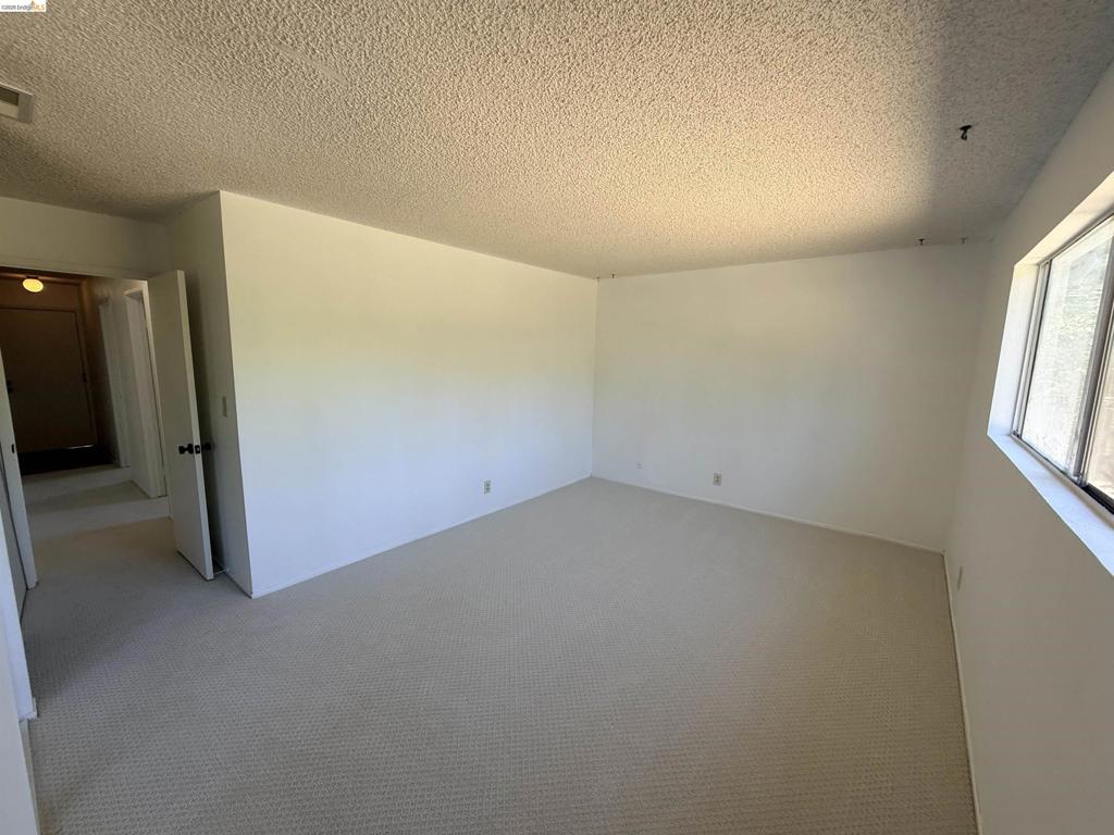119 Clear Creek Ct Property Photo 29
