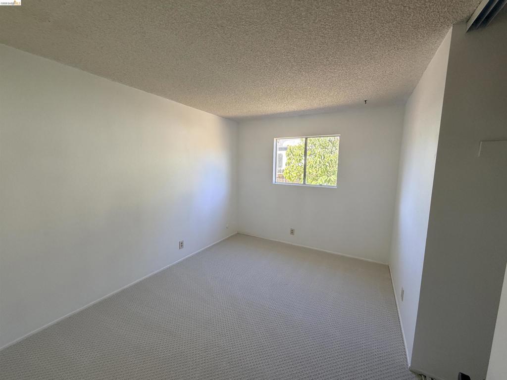 119 Clear Creek Ct Property Photo 33