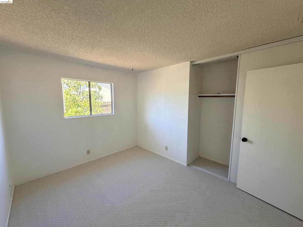 119 Clear Creek Ct Property Photo 34