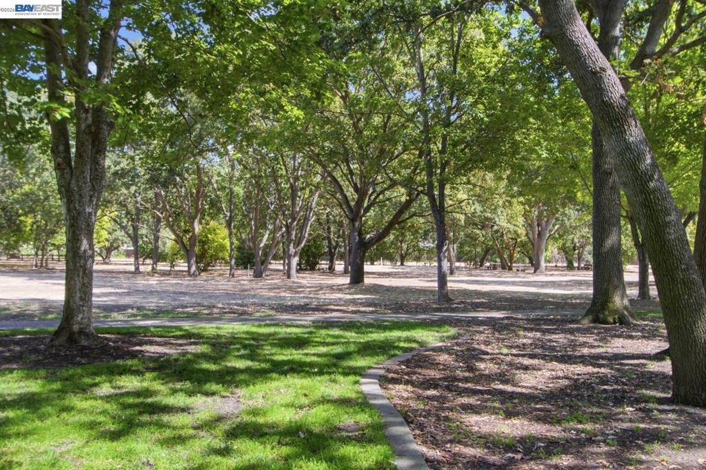 2627 Oak Rd B Property Photo 31