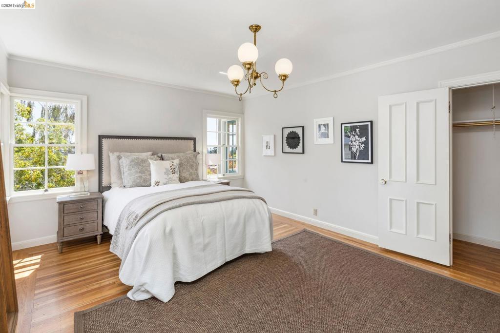 21 Selborne Drive Property Photo 33