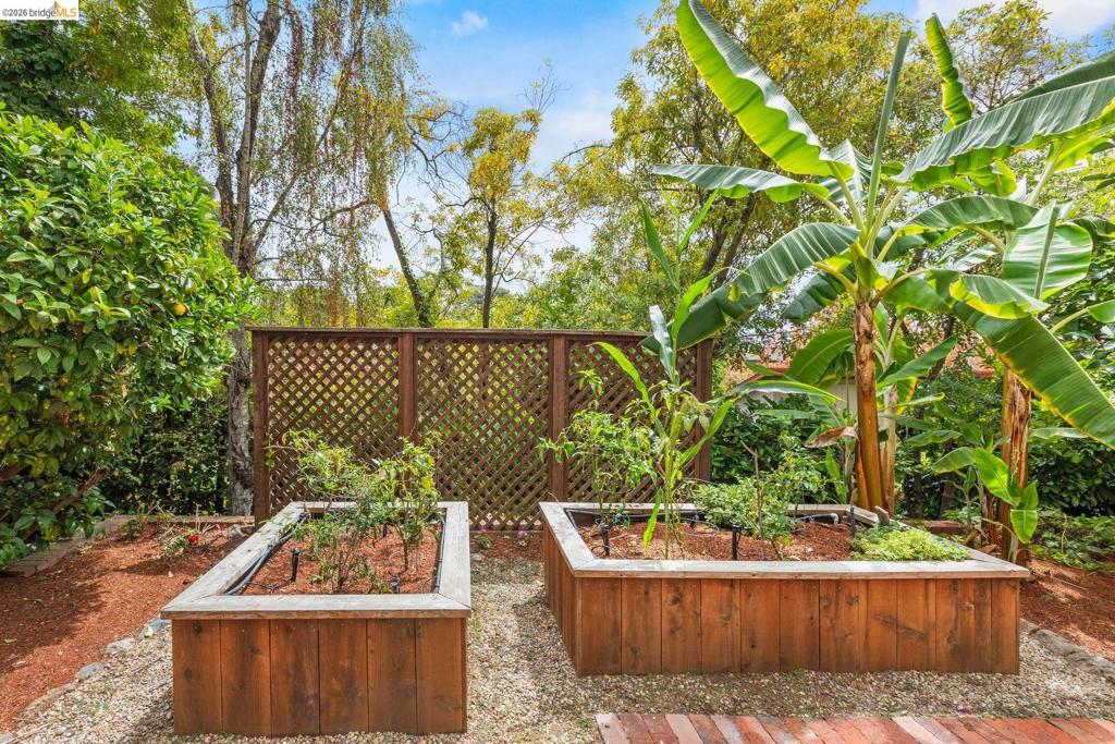 21 Selborne Drive Property Photo 61