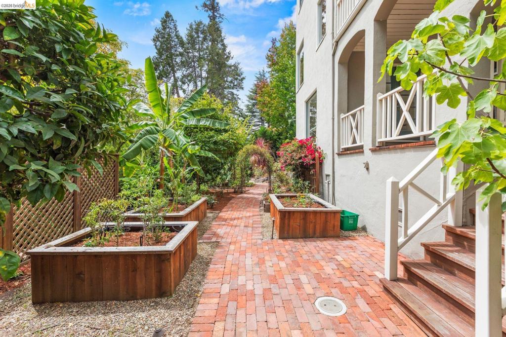 21 Selborne Drive Property Photo 62