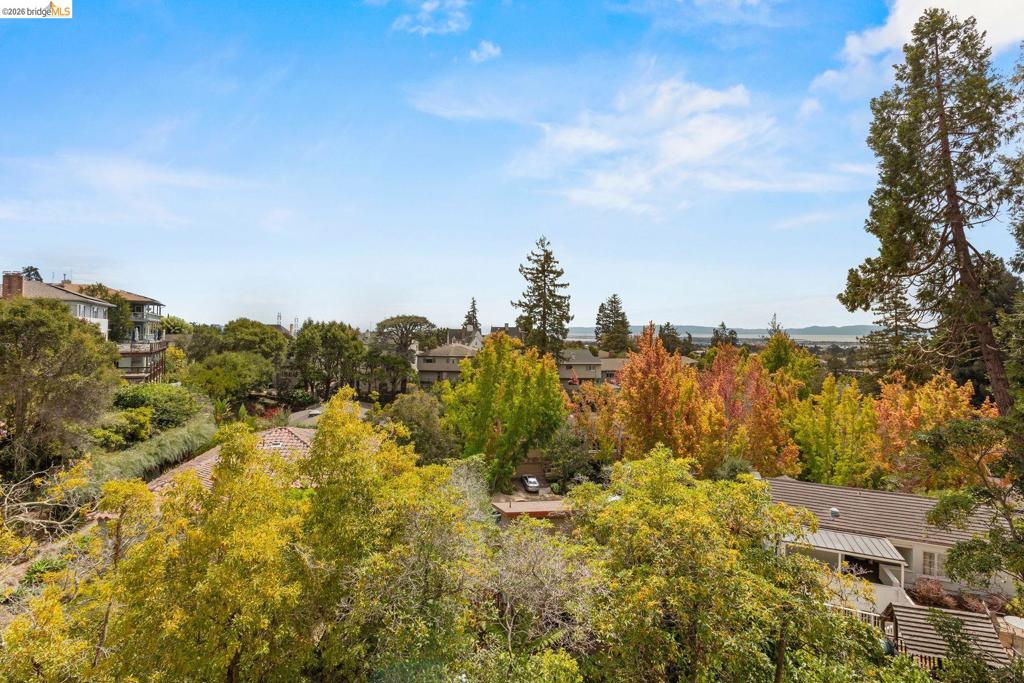 21 Selborne Drive Property Photo 81