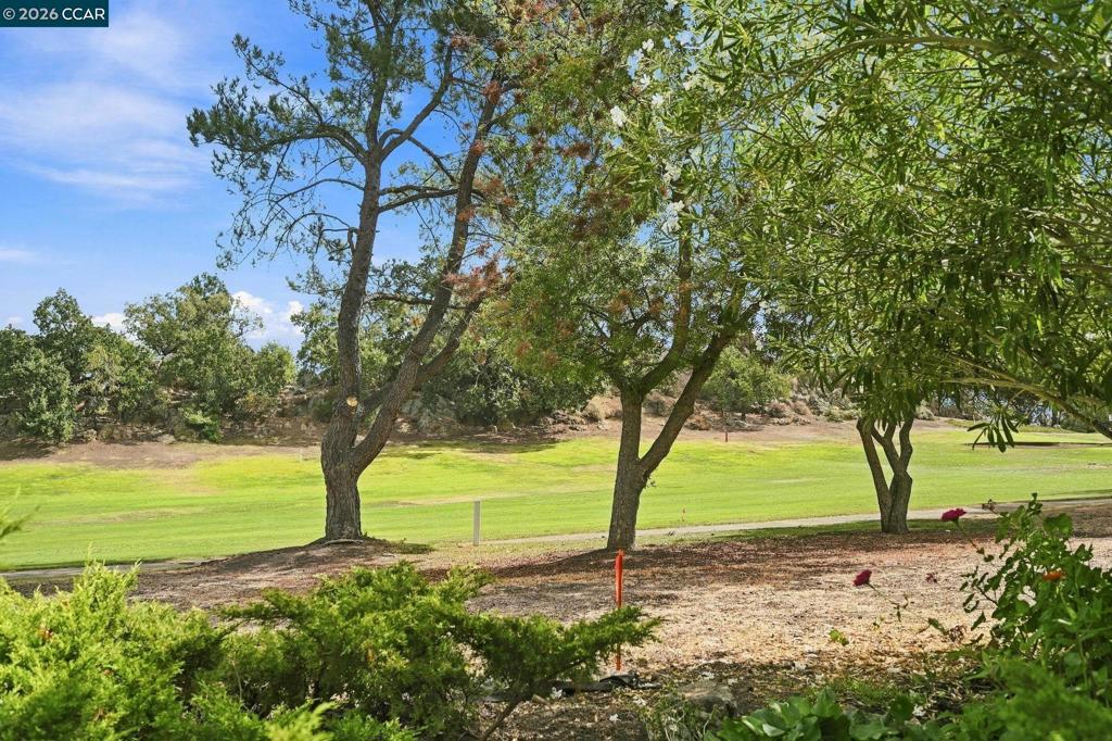 1447 Marchbanks Dr 1 Property Photo 19