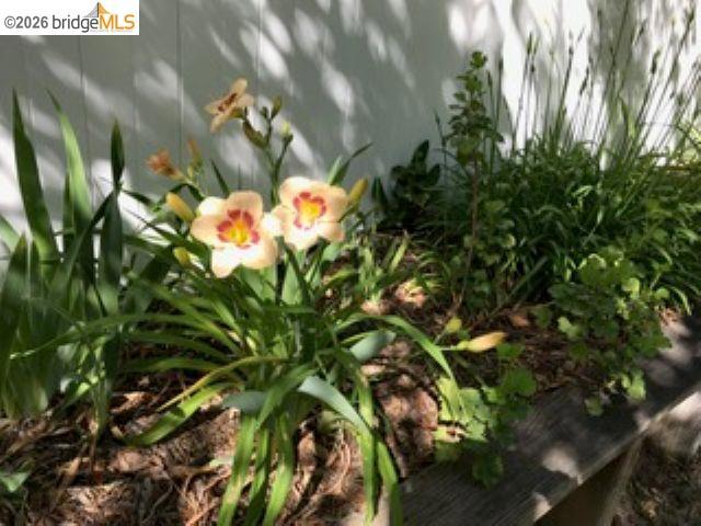 1169 1st Avenue Property Photo 30
