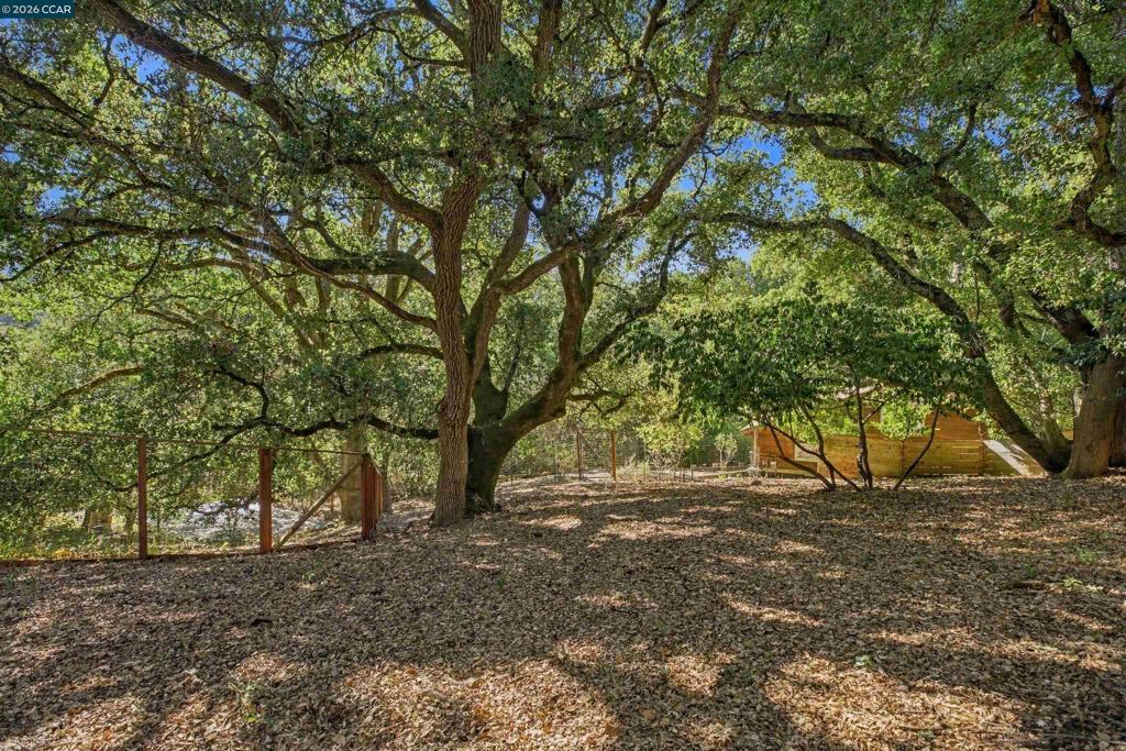 33 Oakwood Property Photo 21