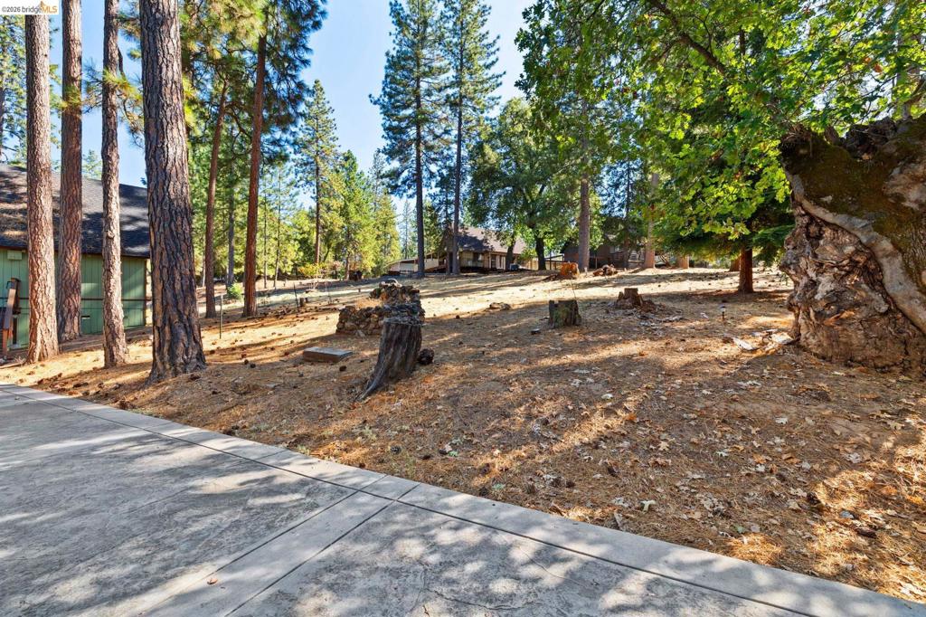 19369 Ferretti Rd Property Photo 4