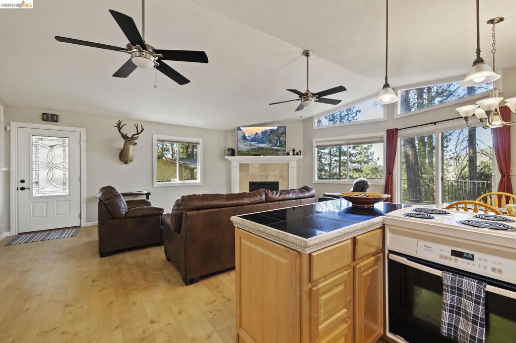 19369 Ferretti Rd Property Photo 15