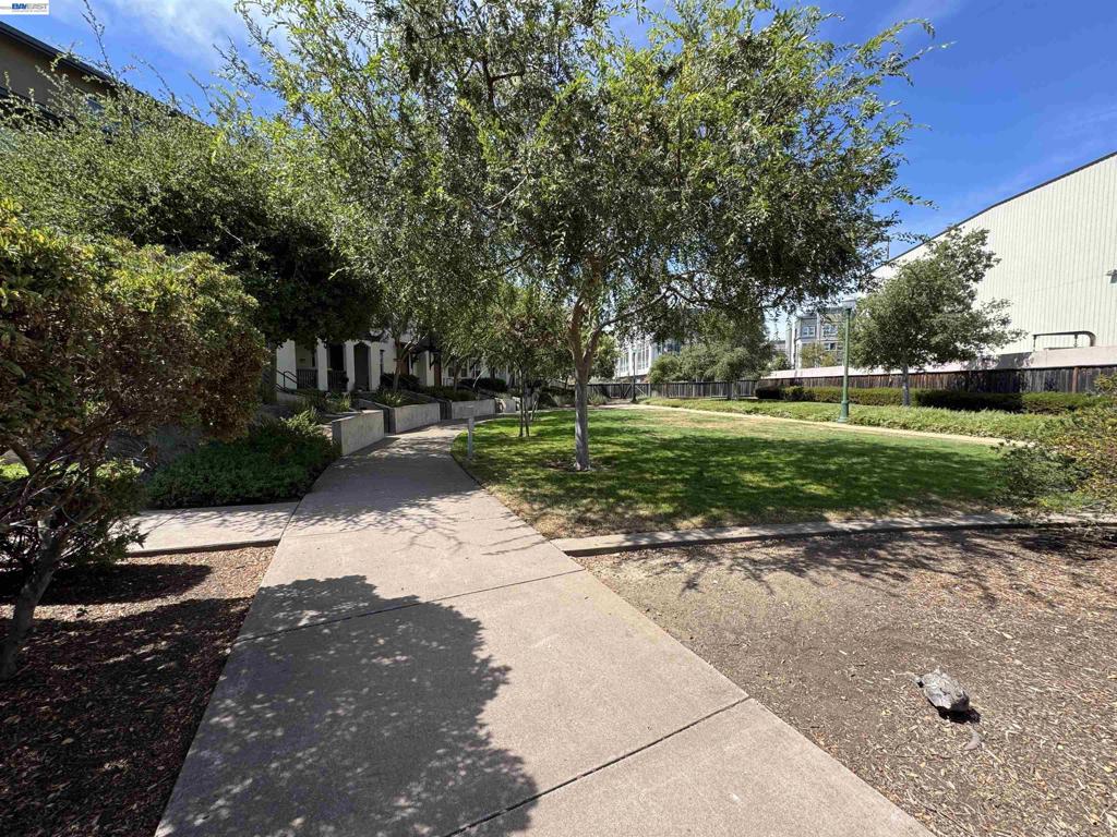 457 Diller Street Property Photo 49