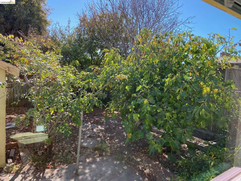 2814 Roosevelt Ave Property Photo 22