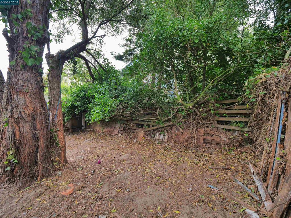 70 Liebig Street Property Photo 44