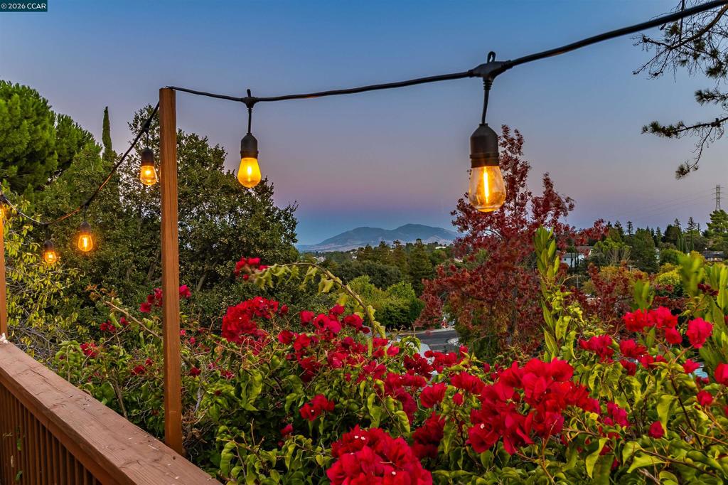 341 Paloma Ct Property Photo 1