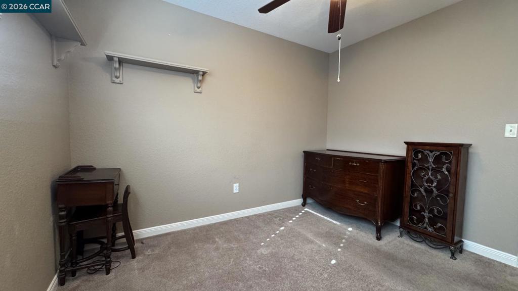 5113 Castlemaine Drive Property Photo 33