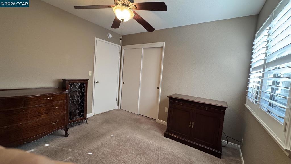5113 Castlemaine Drive Property Photo 34
