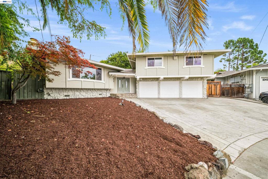 699 Fiesta Pl Property Photo 6