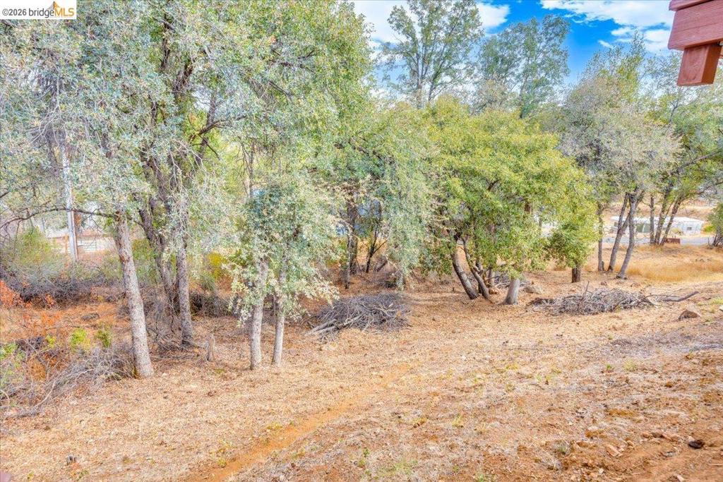 16992 Clouds Rest Rd Property Photo 44