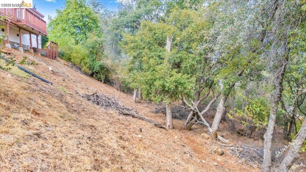 16992 Clouds Rest Rd Property Photo 45